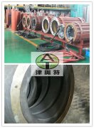 德国西格里石墨EK305材质在三相异步电念头（潜水电机）中的应用