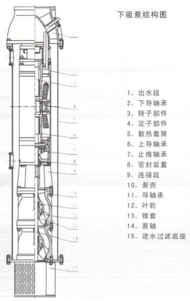 下吸式潜水泵结构图