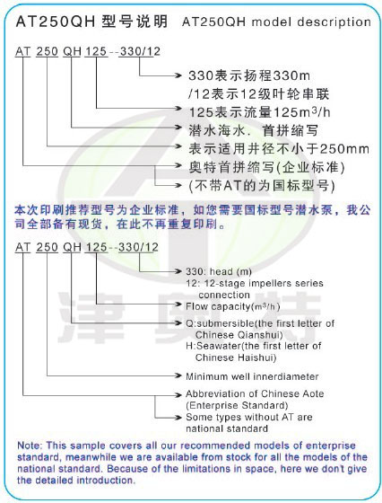 海水潜水泵，潜海水电泵，海水提升泵型号说明