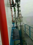 锡青铜潜海水泵_海水提升_耐侵蚀_防砂型